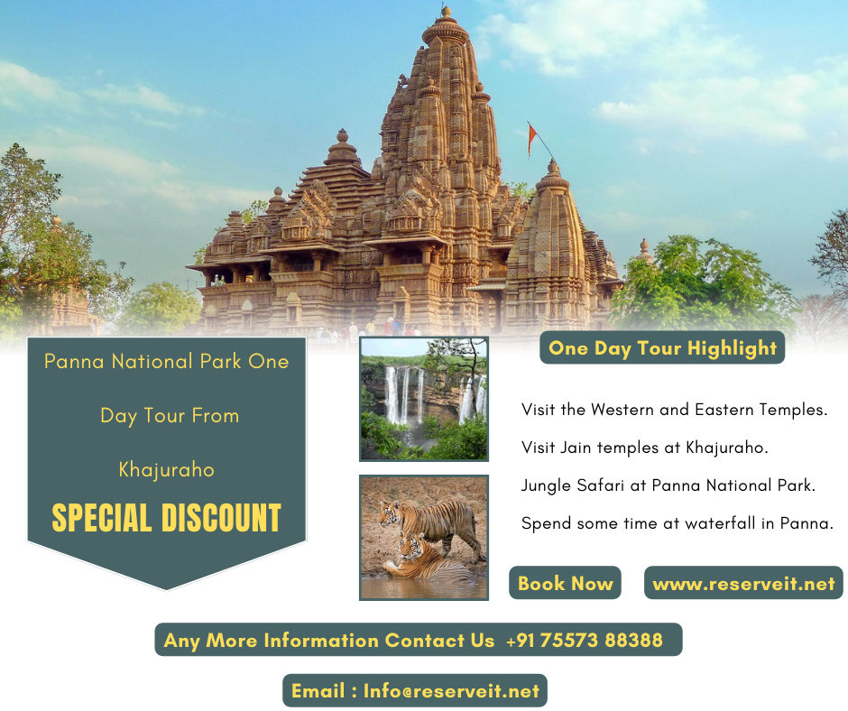 Gir National Park Lion Tour with 2 Jeep Safari